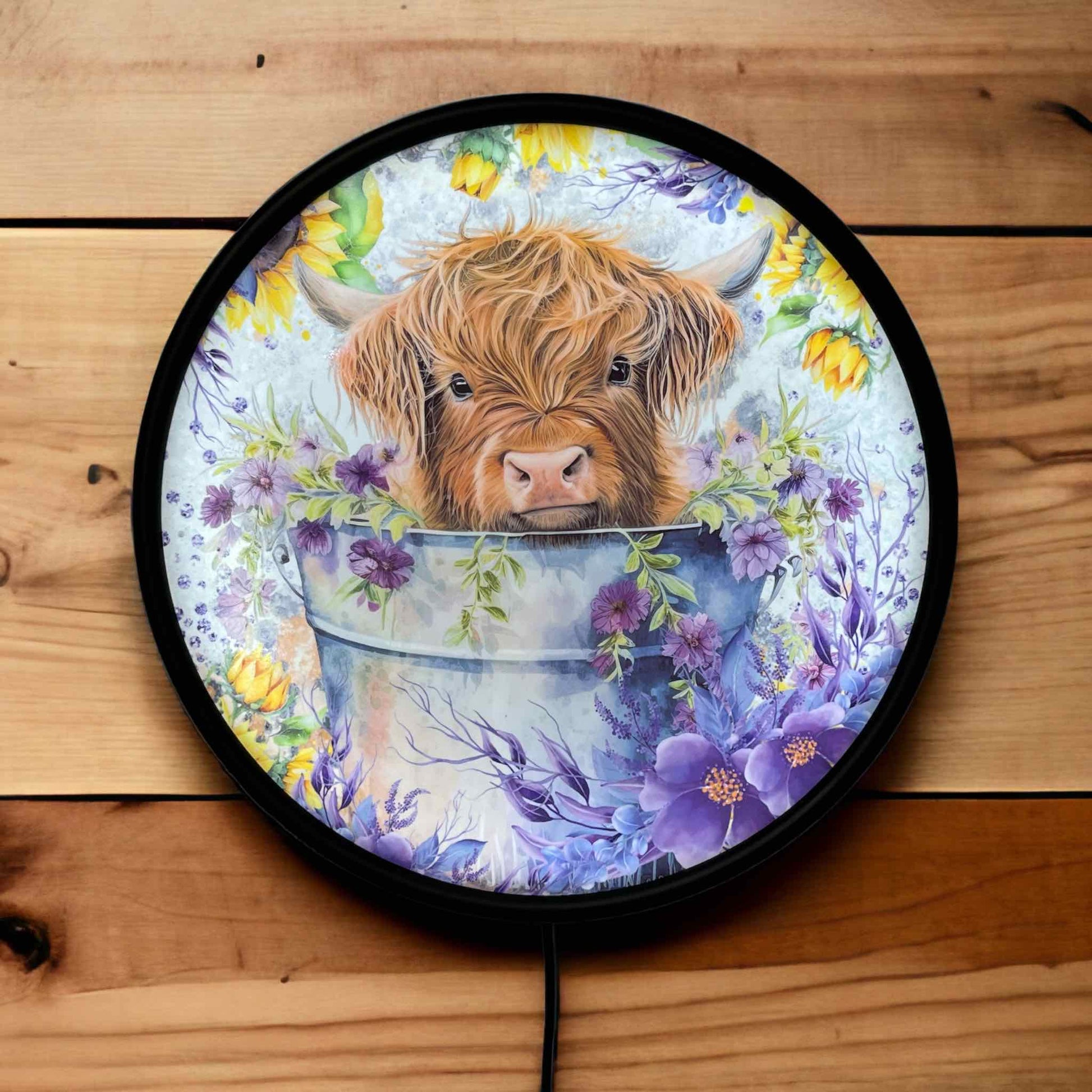 Highland Calf in Bucket - Vibrant Illuminations: LED Light Box - Laser Design Creations