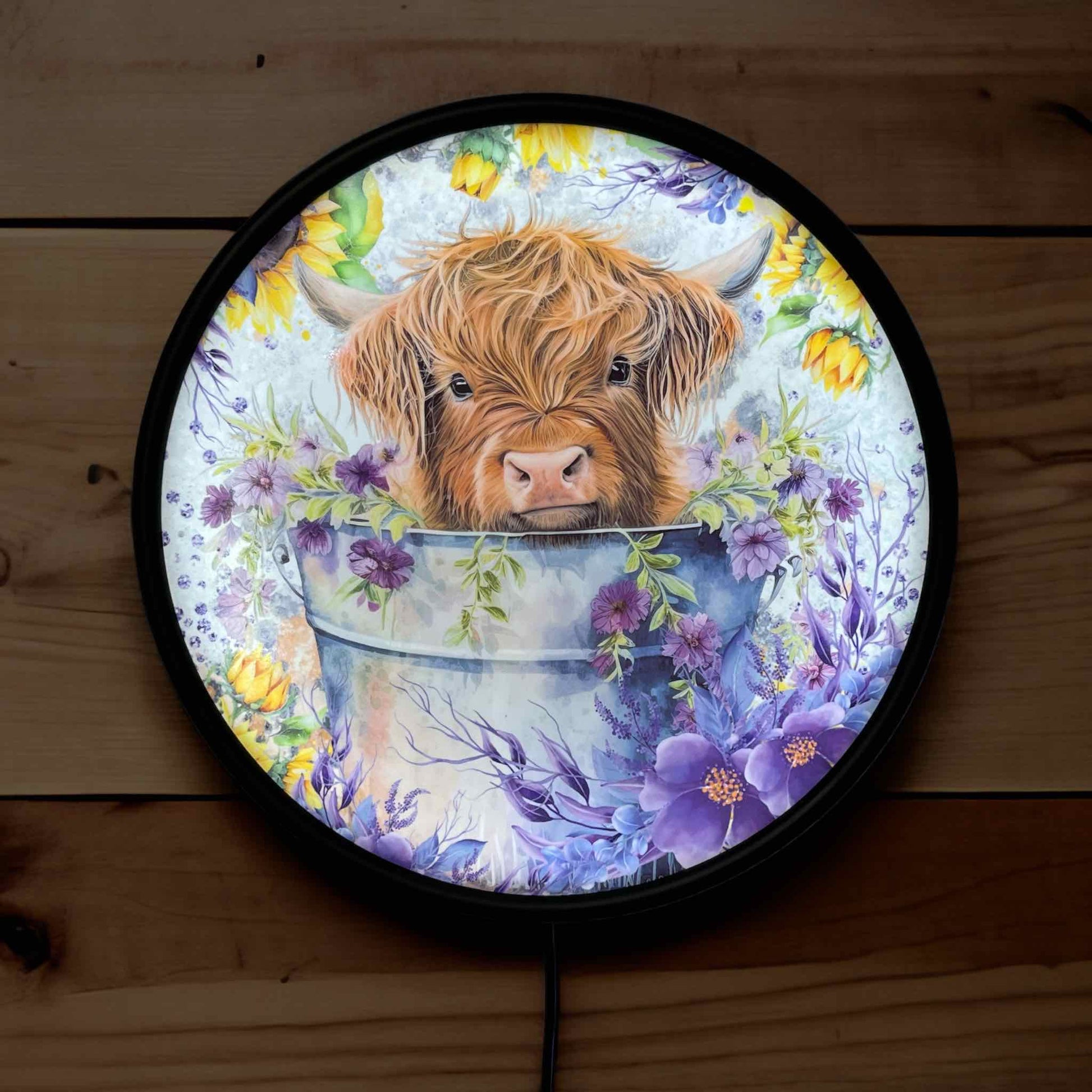 Highland Calf in Bucket - Vibrant Illuminations: LED Light Box - Laser Design Creations