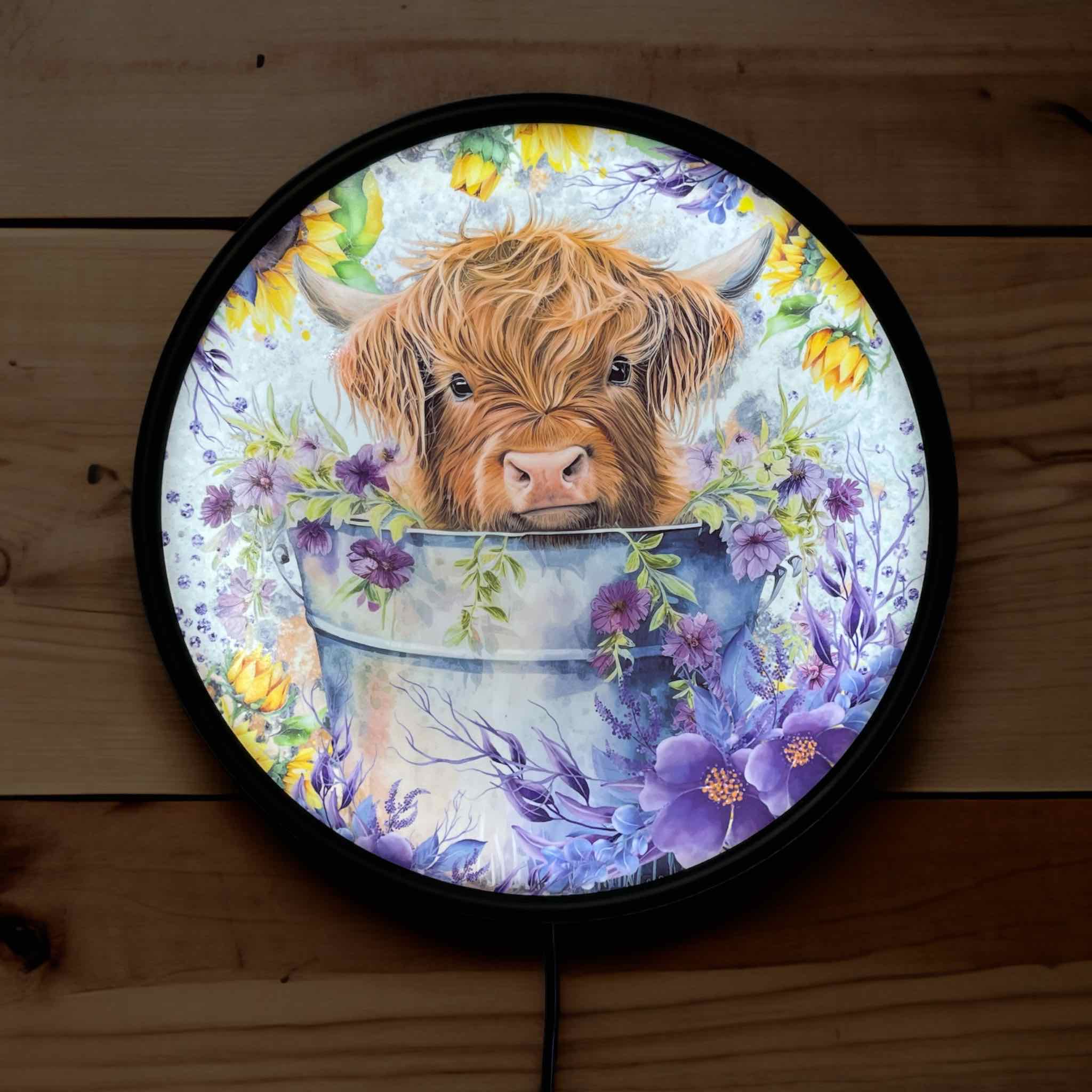 Highland Calf in Bucket - Vibrant Illuminations: LED Light Box - Laser Design Creations