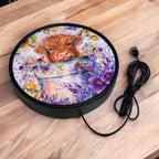 Highland Calf in Bucket - Vibrant Illuminations: LED Light Box - Laser Design Creations