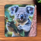 Photorealistic Koala neoprene coasters by Laser Design Creations, featuring an adorable koala holding green eucalyptus leaves on a white background.