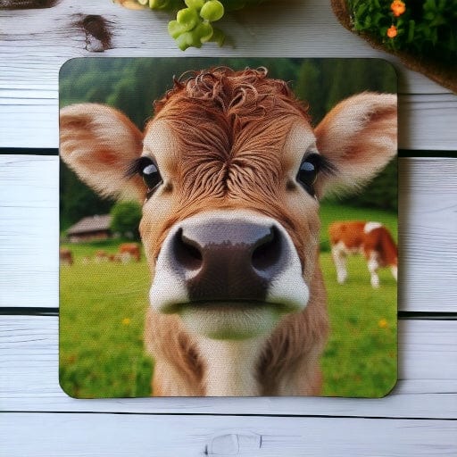 ‘Adorable Calf / Cow’ Design - Pack of 4 Neoprene Coasters - Laser Design Creations