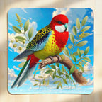 Top view of Eastern Rosella watercolour neoprene coaster with artistic native Australian bird resting on a gum branch, by Laser Design Creations.
